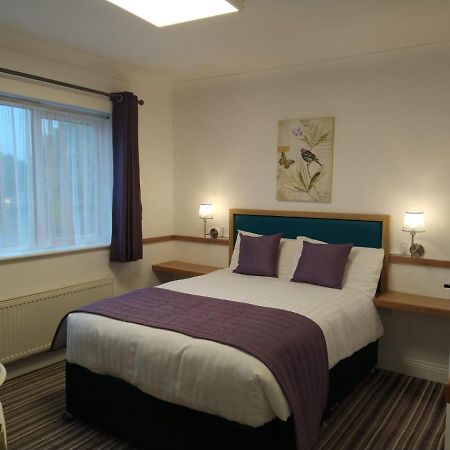 Abacus Guesthouse غالواي المظهر الخارجي الصورة